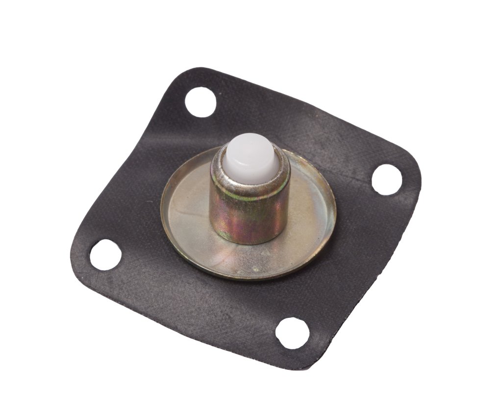 Diaphragm