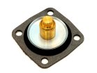 Diaphragm