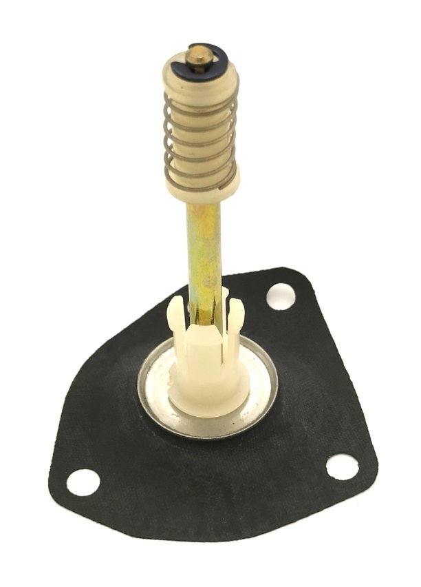 Diaphragm