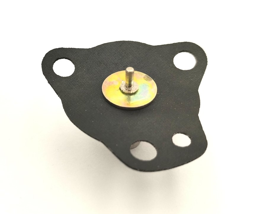 DIAPHRAGM