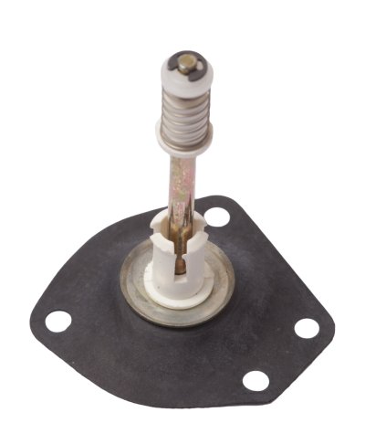 Diaphragm