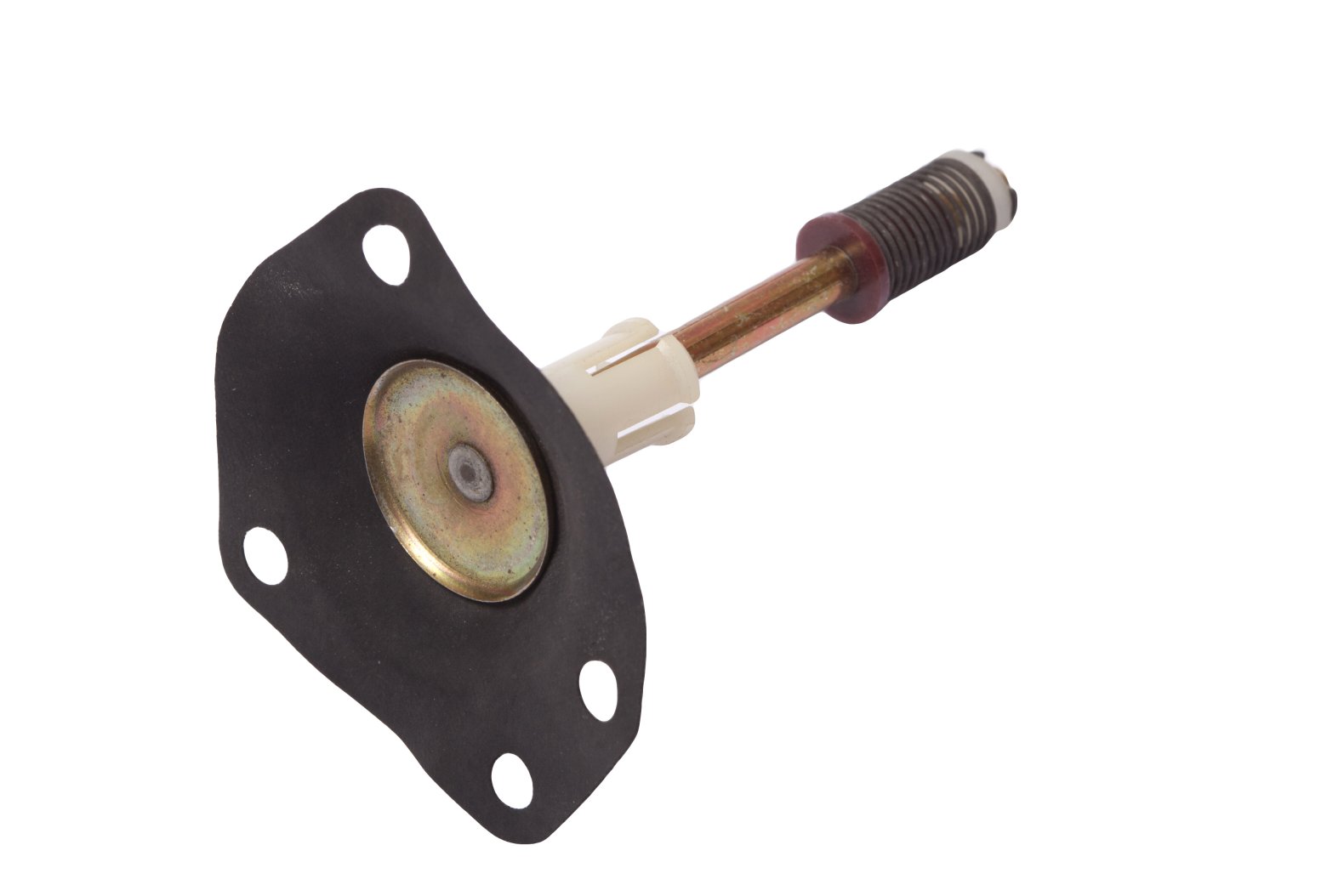 Diaphragm