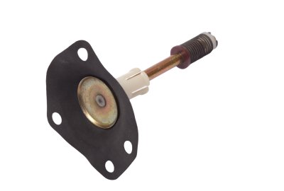 Diaphragm
