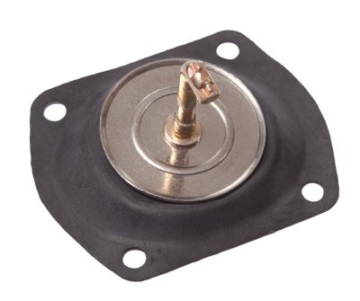 Diaphragm