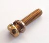 M4 x 16 Cheese Head Screw & Washer